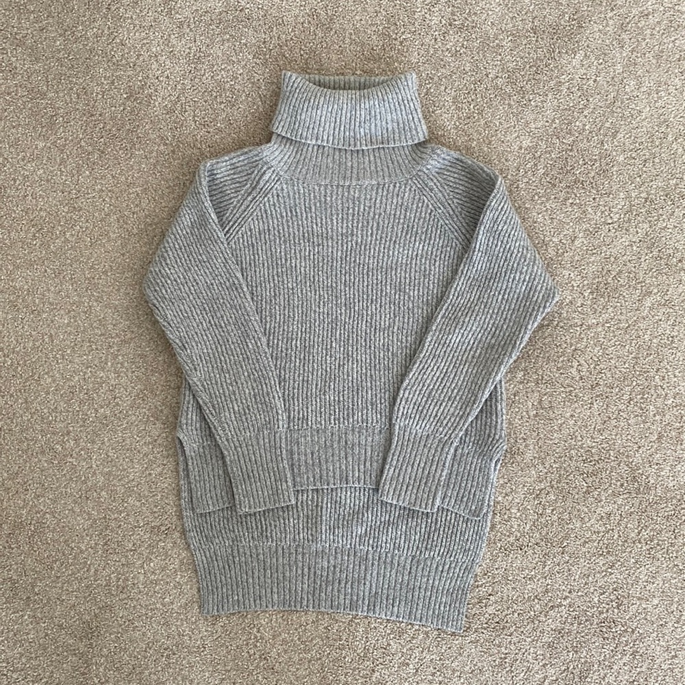 Aritzia Wilfred Free Turtleneck Sweater